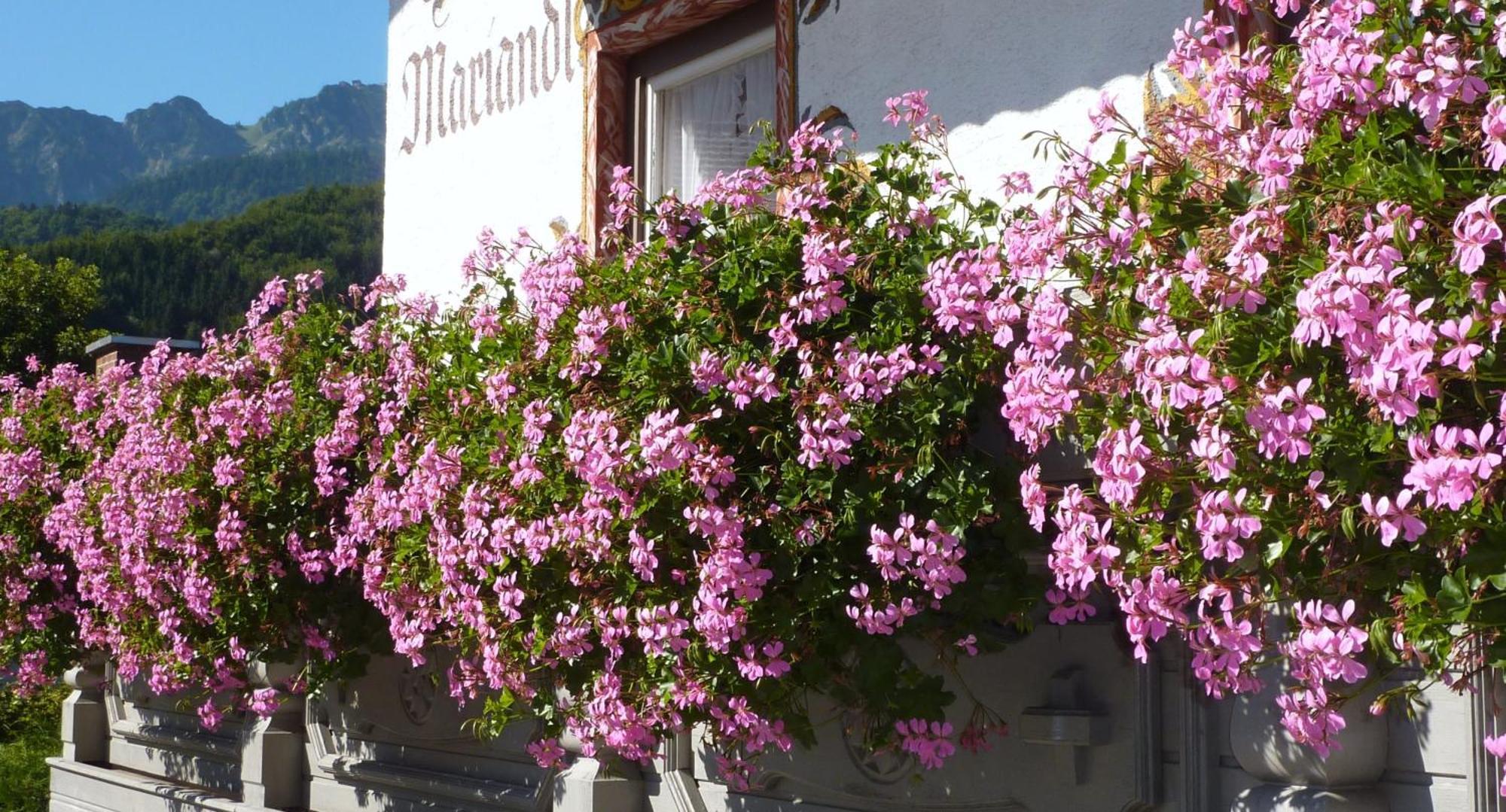 Affittacamere Mariandl